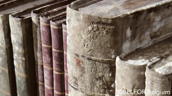 Dos de livres anciens reliés couverts de moisissure après un dégât d'humidité