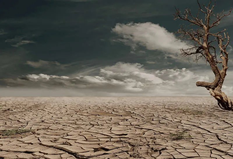 dessication des sols et catastrophe naturelle belgique